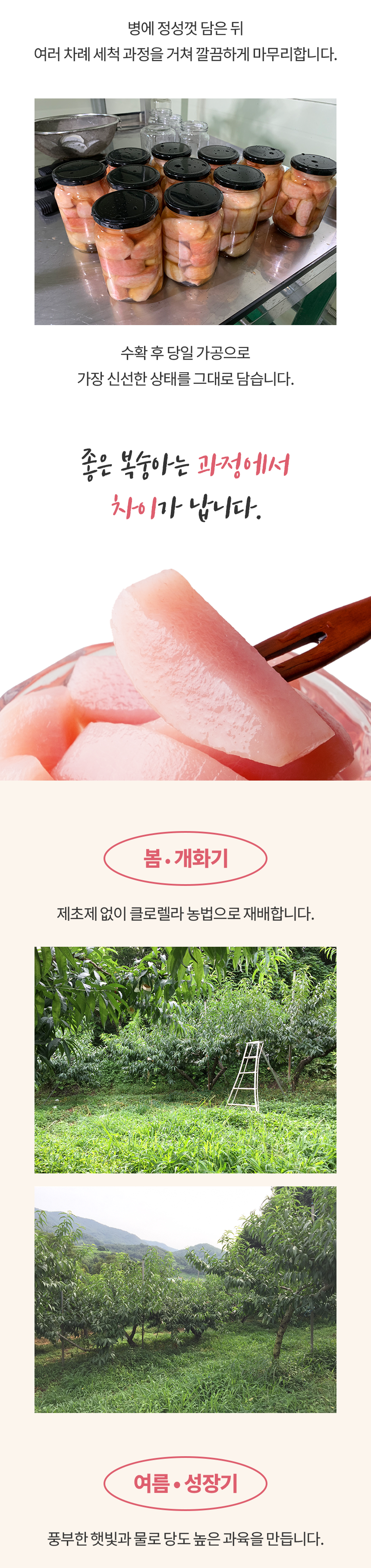 [⭐재주문 1위⭐] 프리미엄 아삭복숭아병조림 선물세트🍑