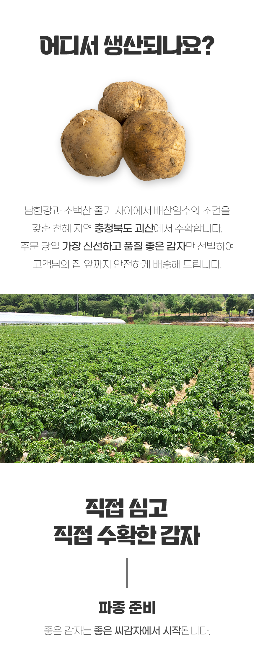 생감자 카스테라 홍감자 수미 두백 자영 5kg 10kg