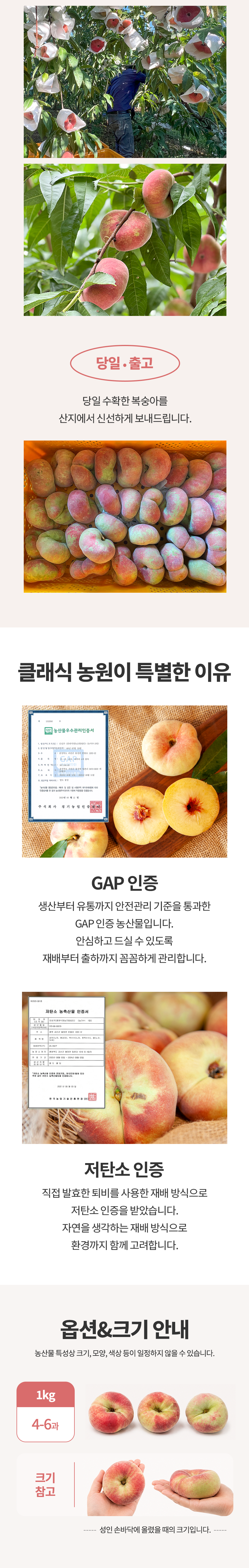 ★26년 산지직송 납작 복숭아 거반도 도넛복숭아 1kg [원산지:국산(충청북도 괴산군)]
