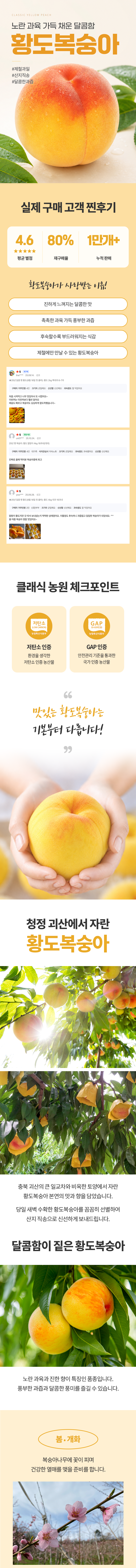 2026년 산지직송 당도보장 클래식 황도★대향금 복숭아 [원산지:국산(충청북도 괴산군)]