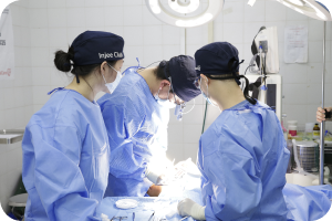 수술 진행 현장 사진