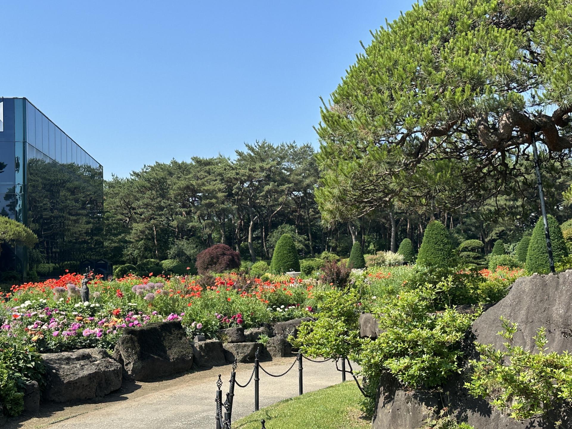 32f976efa1f87.jpg
