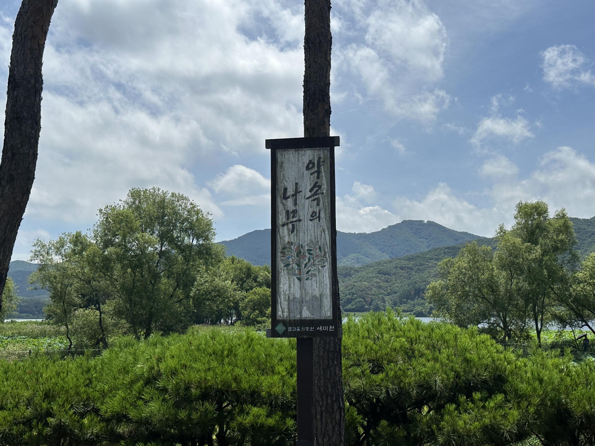 809d09de72a07.jpg