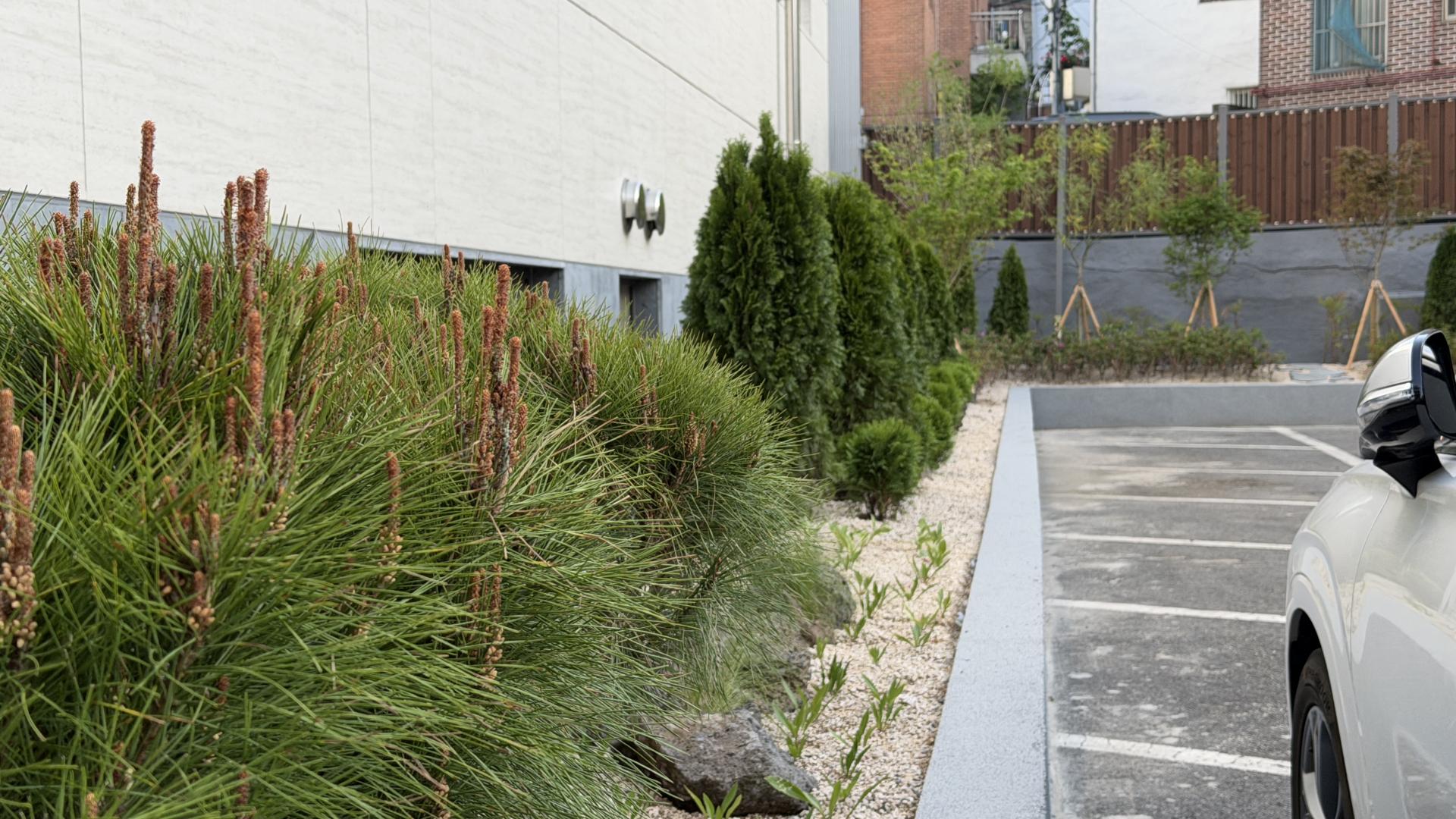 b52a970d0c86e.jpg