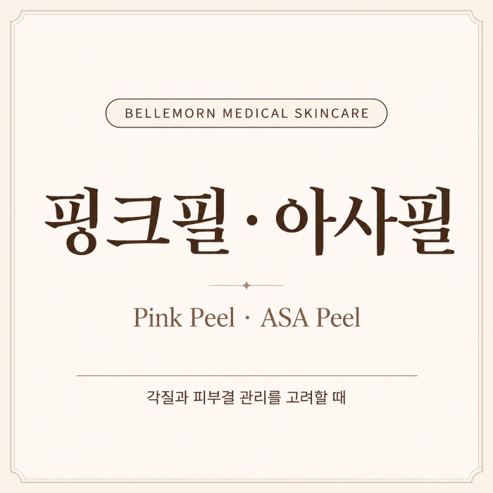 핑크필·아사필 프로그램 안내