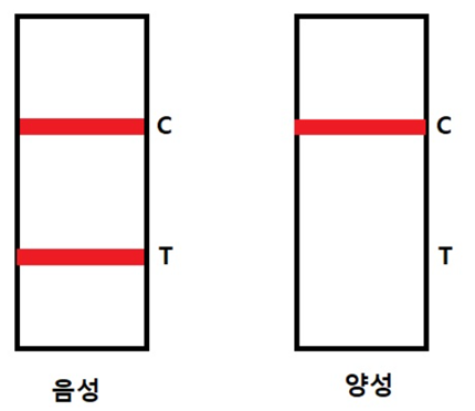 d0373d80e6db8.png