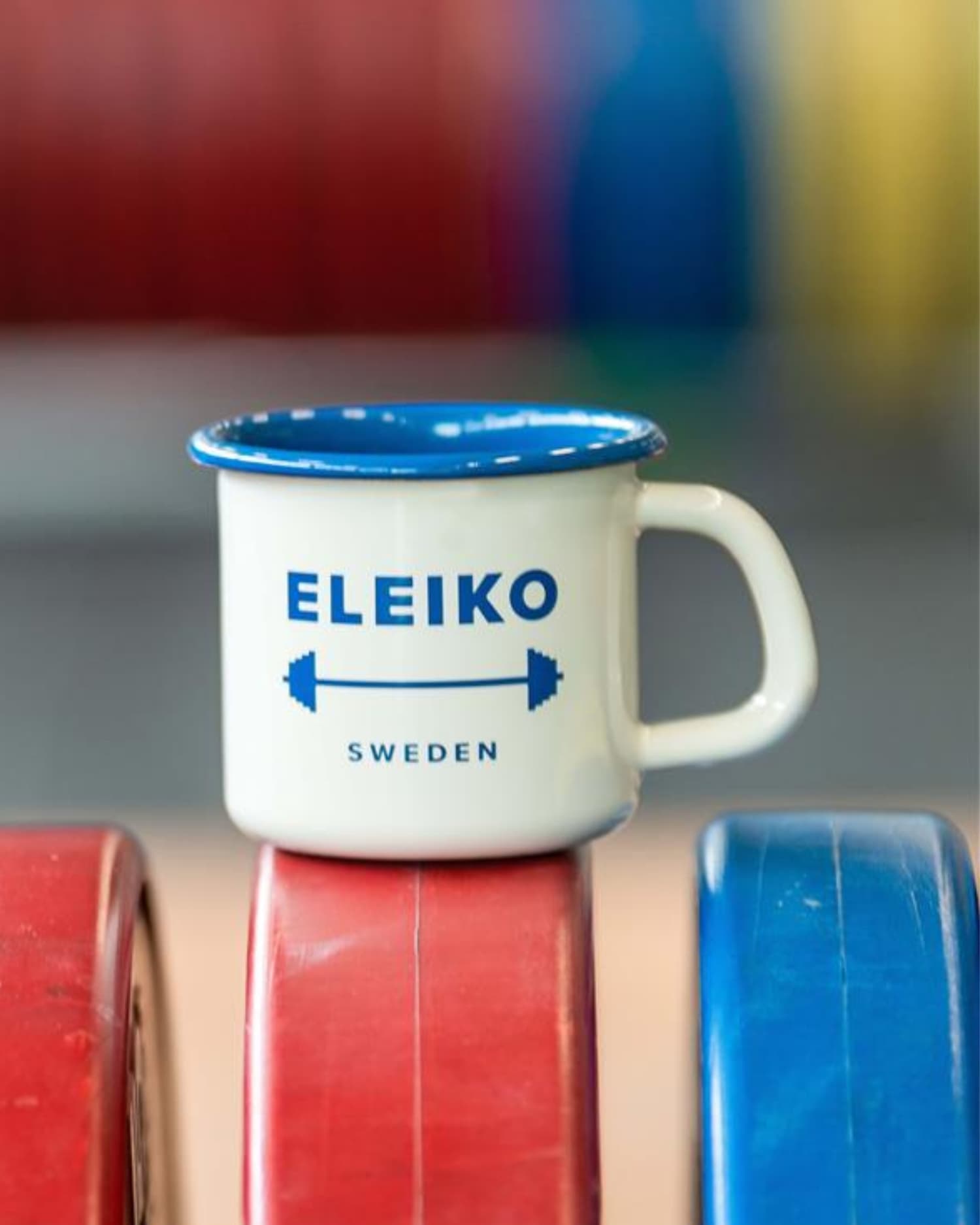 [Eleiko] Enamel Mug