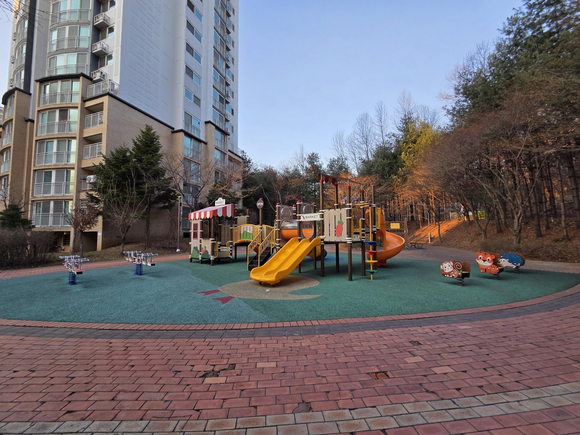 1031ff9a5b375.jpg