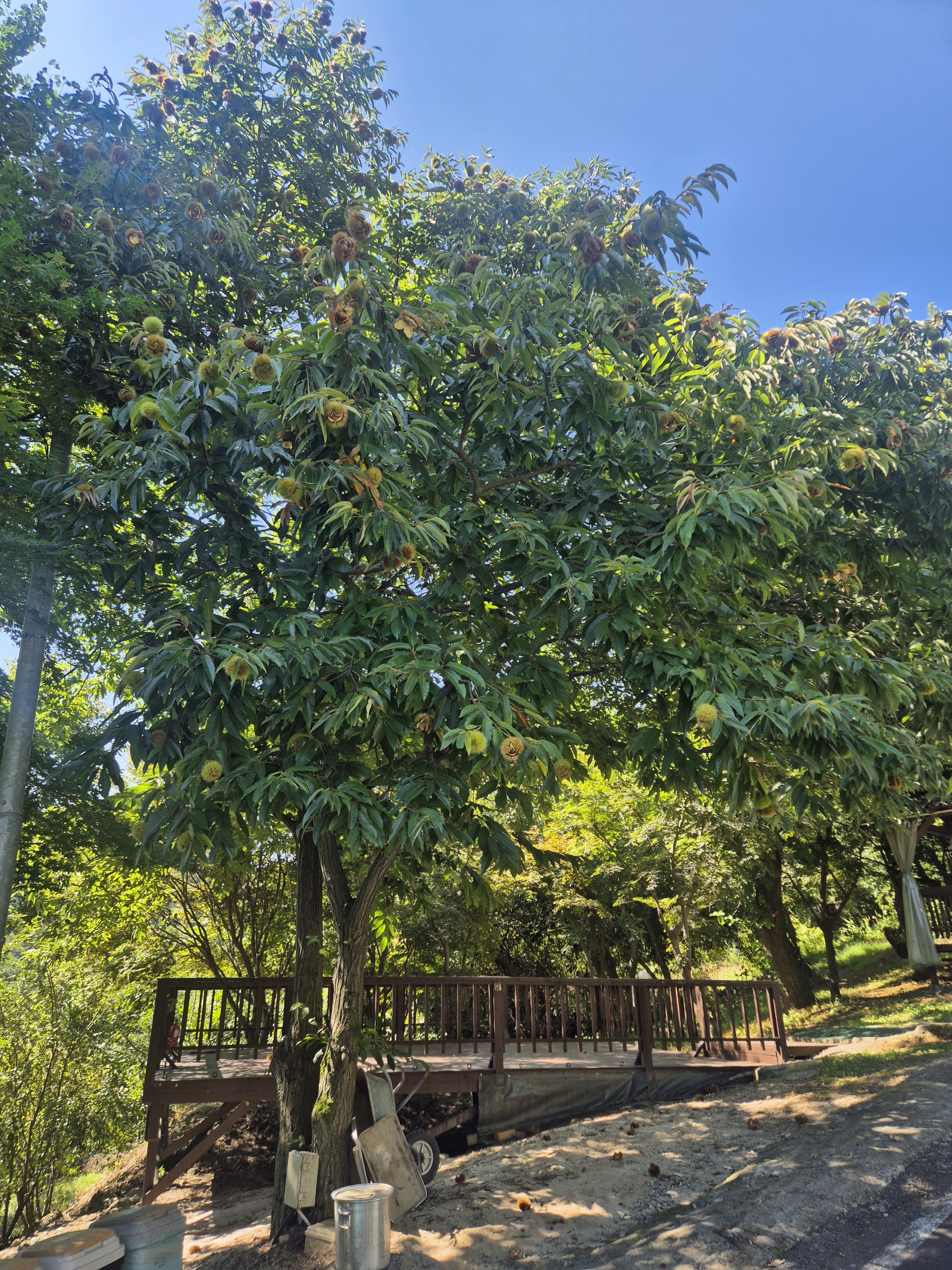4e53f468284e3.jpg