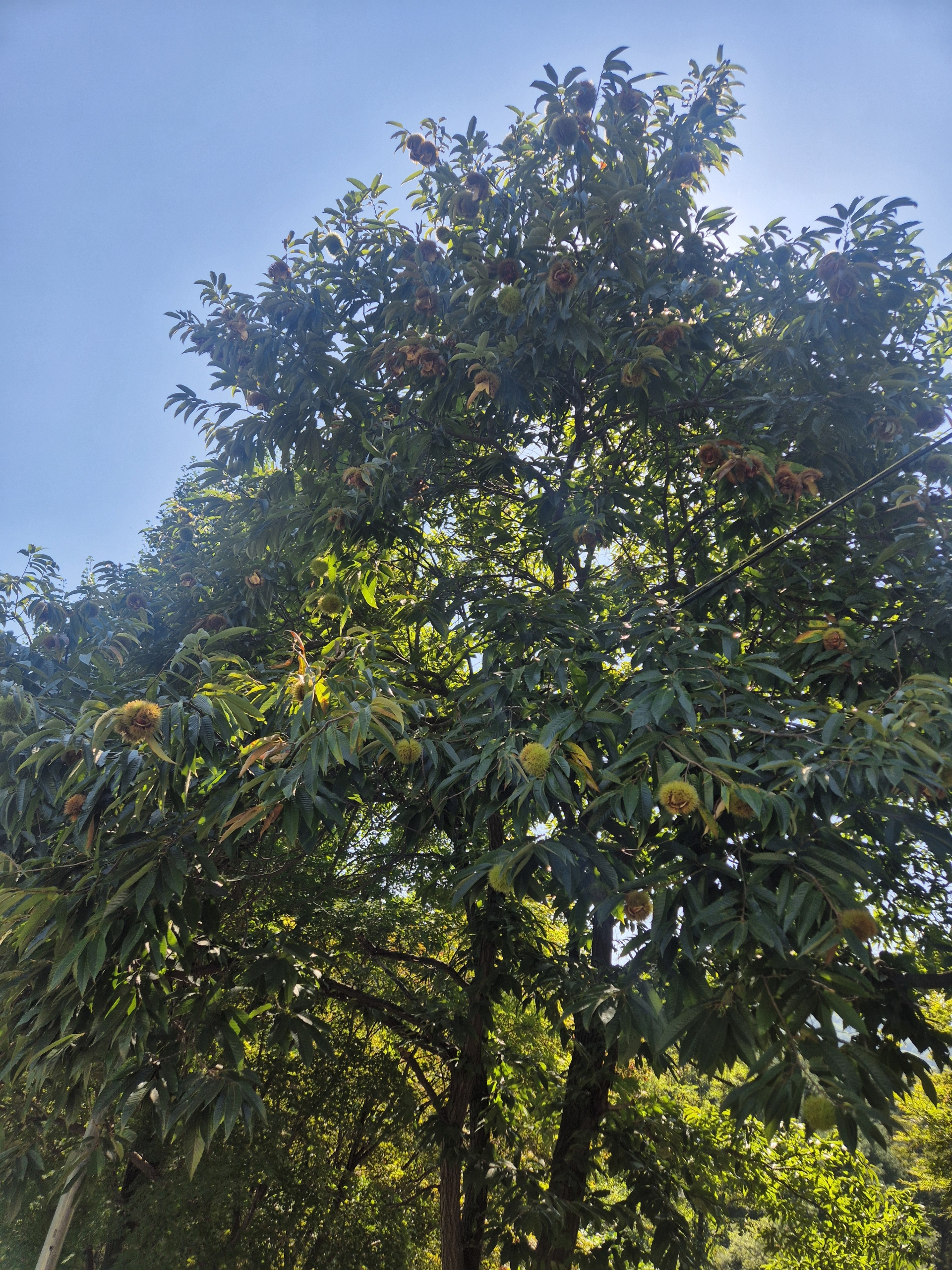 84f633c516a04.jpg