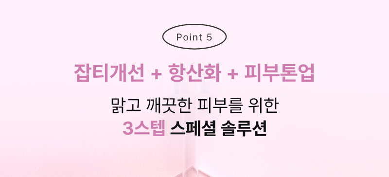 잡티개선, 항산화, 피부톤업