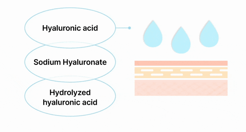 Hyaluronic acid, Sodium hyaluronate, Hydrolyzed hyaluronic acid