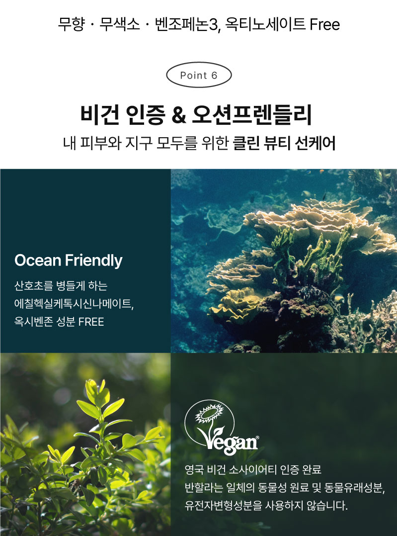 비건 인증 완료&오션 프렌들리 선크림