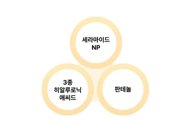 세라마이드NP, 3종 히알루로닉애씨드, 판테놀