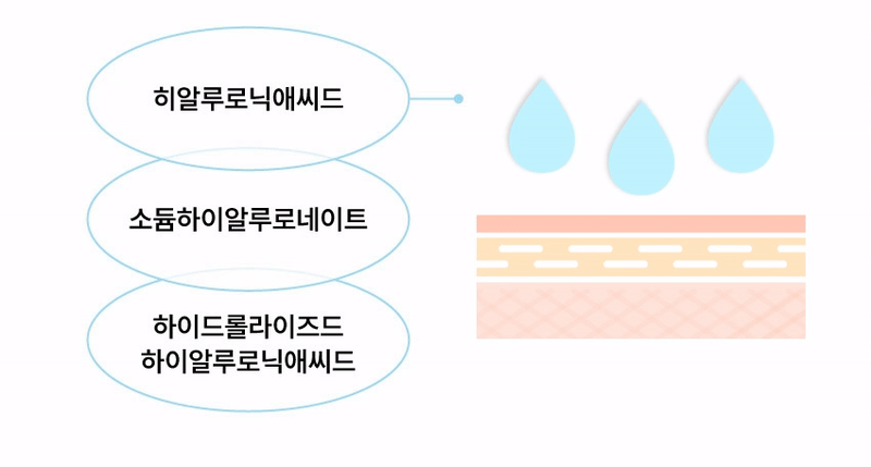 히알루로닉애씨드, 소듐하이알루로네이트, 하이드롤라이즈드 하이알루로닉애씨드