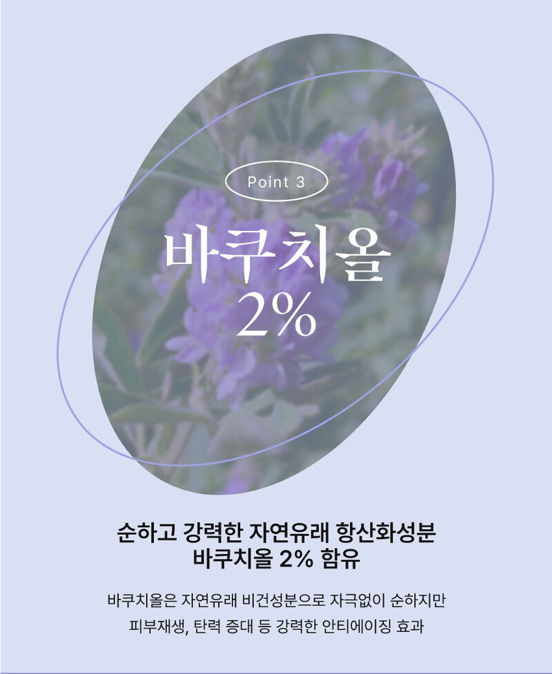 자연유래 항산화성분 바쿠치올 2% 함유