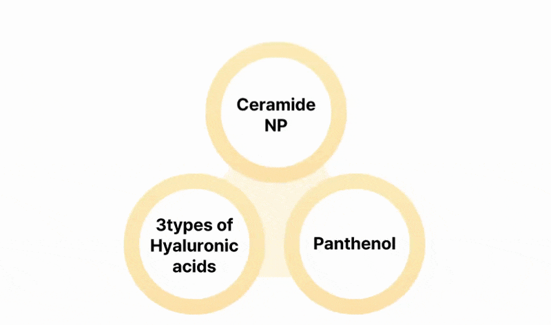 ceramide np, 3types of hyaluronic acids, panthenol