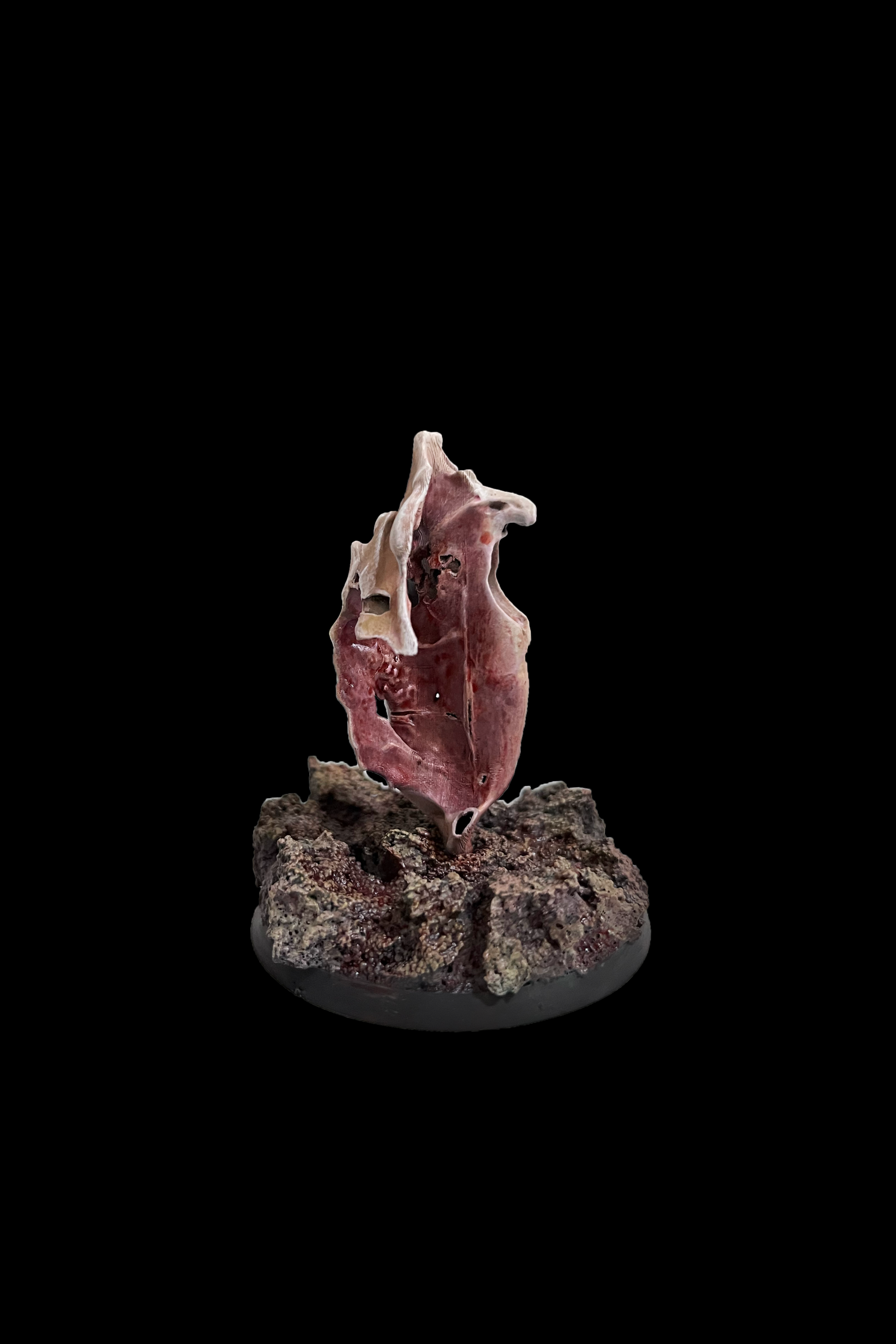 [Memorial : Geometry : Formation 1 : Anatomical Metamorphic Flow]방소윤
