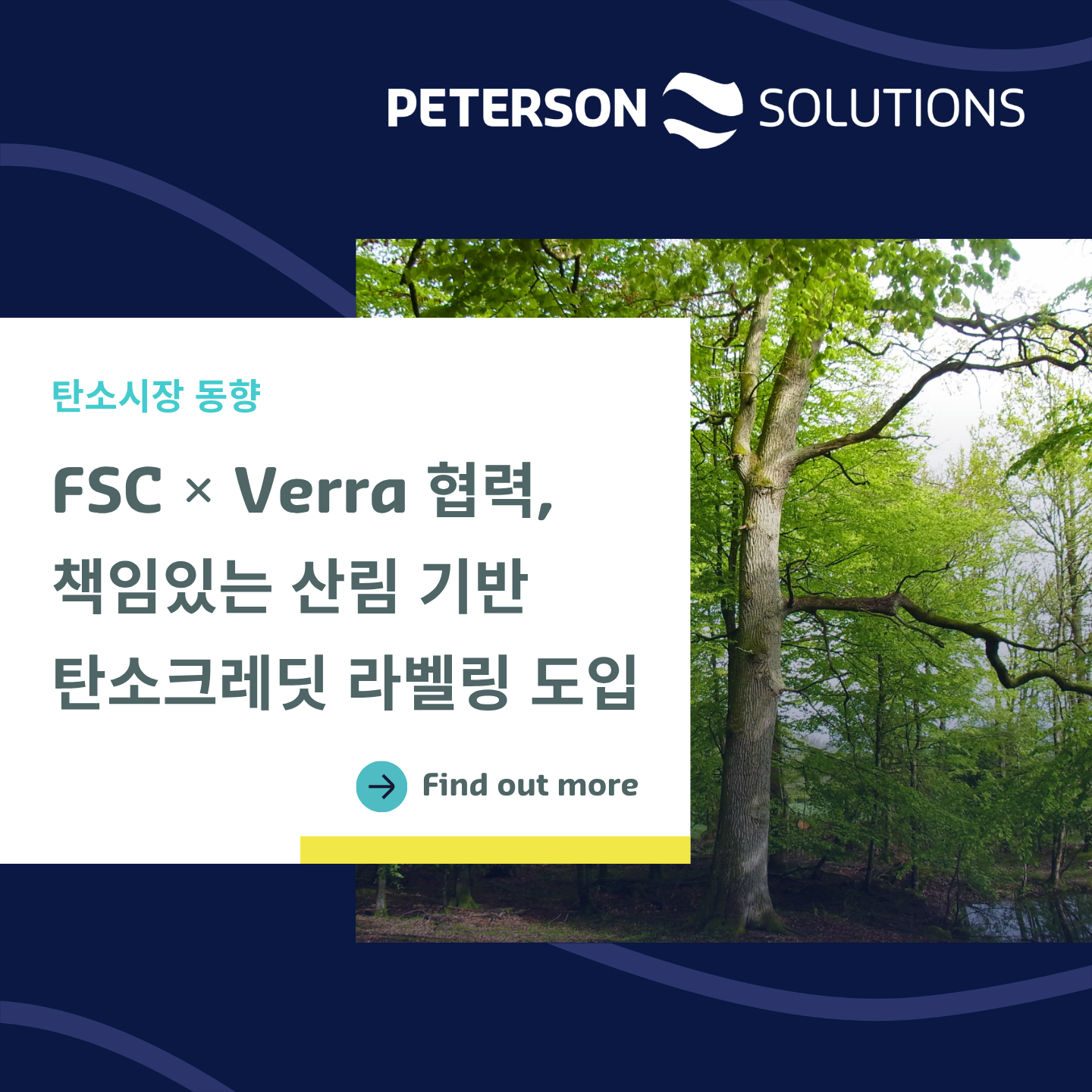d041ce6c94537.png