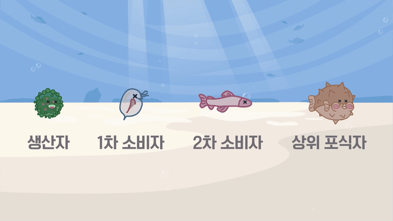 380f6555b924a.gif