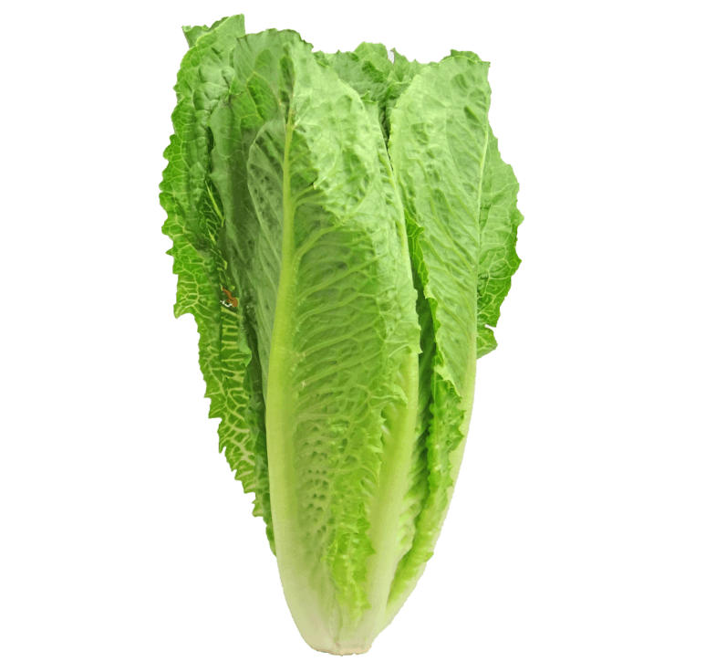 509ca632a264b.png