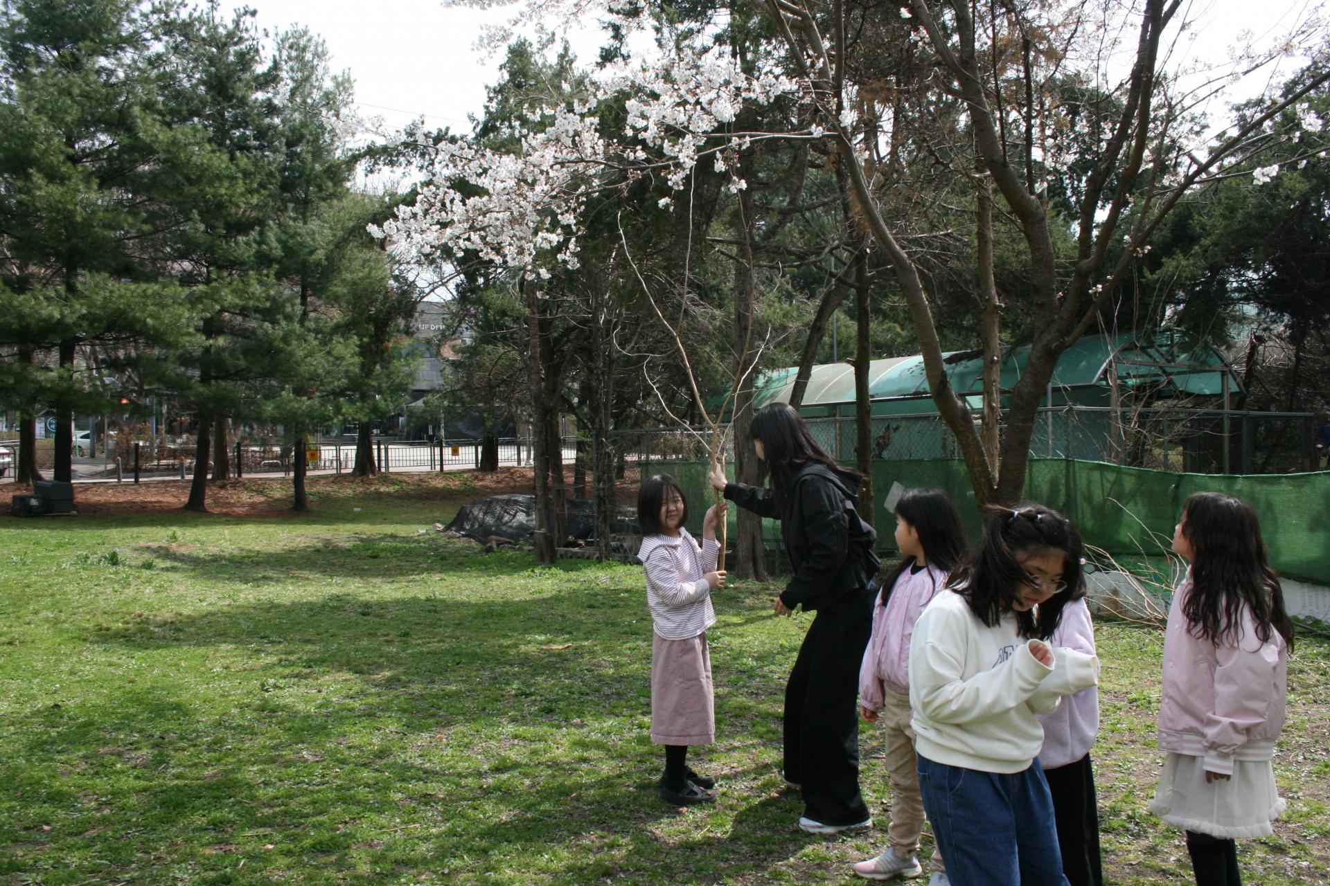 61e905a96abe1.jpg