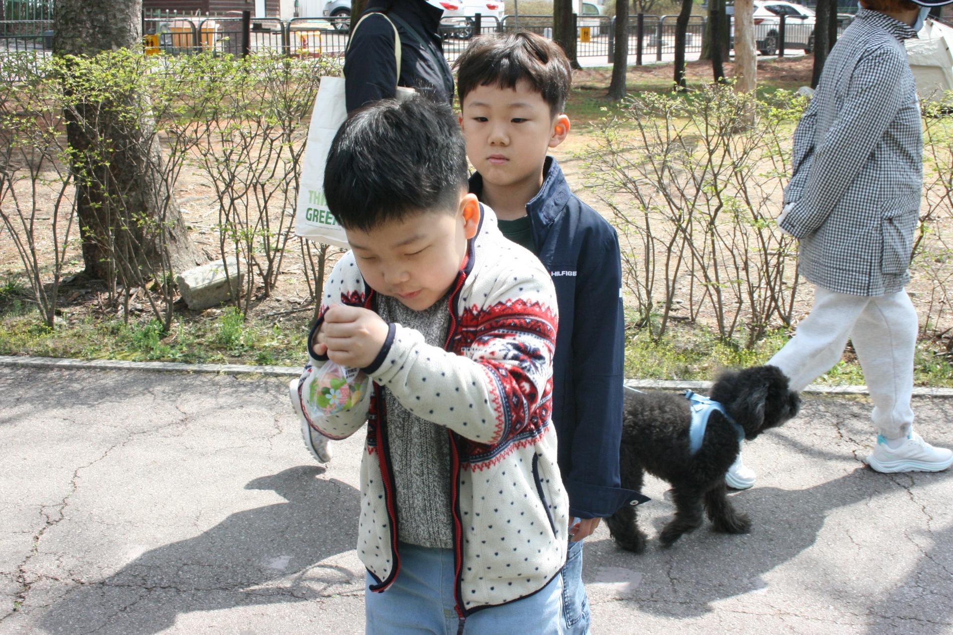 c3733af98b100.jpg