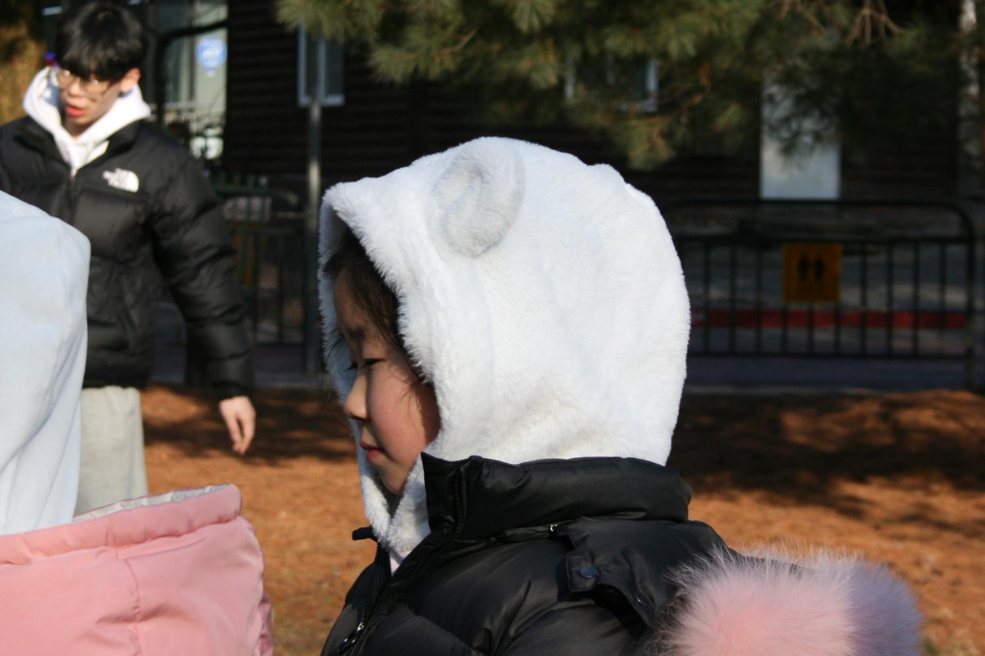 dbc88448cfc7a.jpg