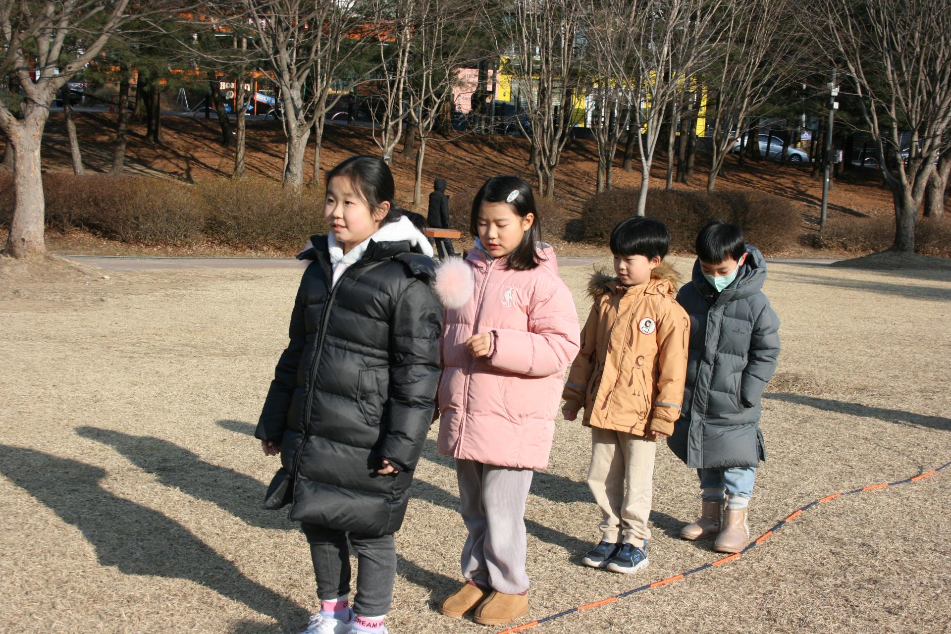 fe4526c8b1213.jpg