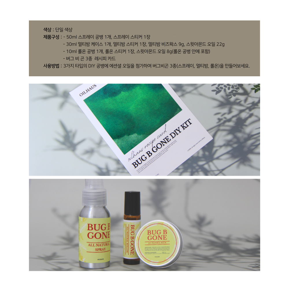 버그 비 곤 3종 DIY 키트
