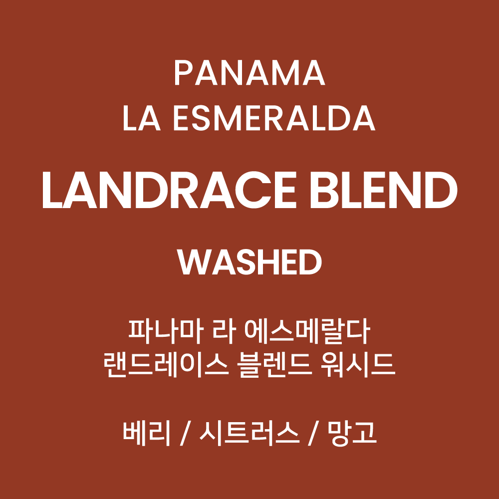 [5월 이벤트] 파나마 라 에스메랄다 랜드레이스 블렌드 워시드 200g