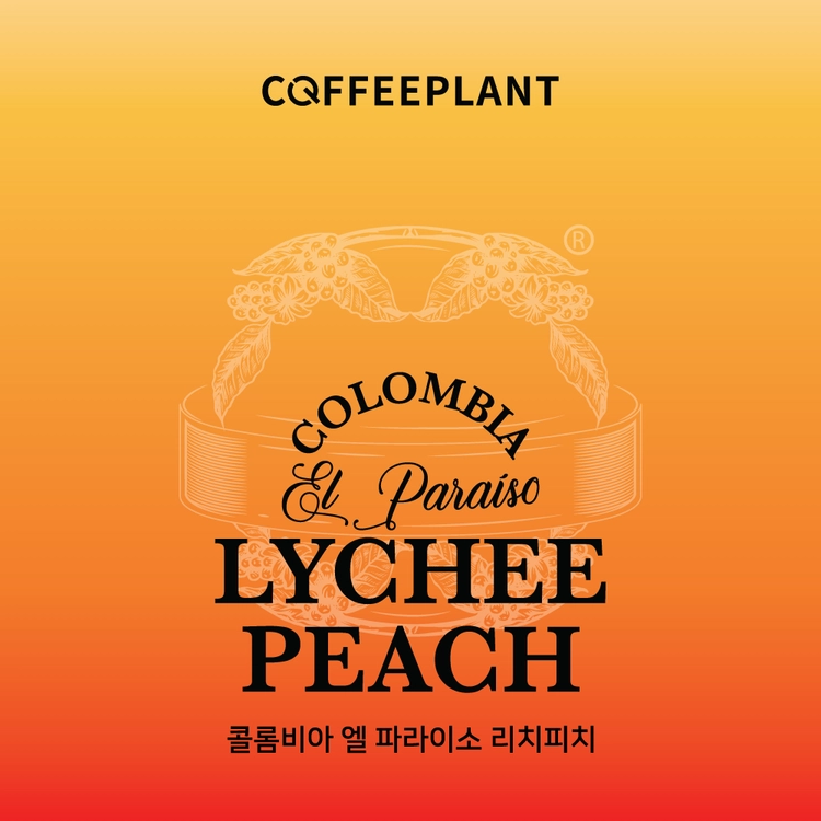 파우더 커피 - 콜롬비아 엘 파라이소 리치피치 [10개입]