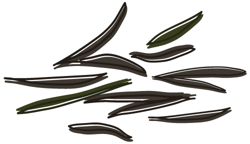 [8월 이벤트] 콜롬비아 핀카 엘 포르베니르 게이샤 플로럴 코퍼먼테이션 200g