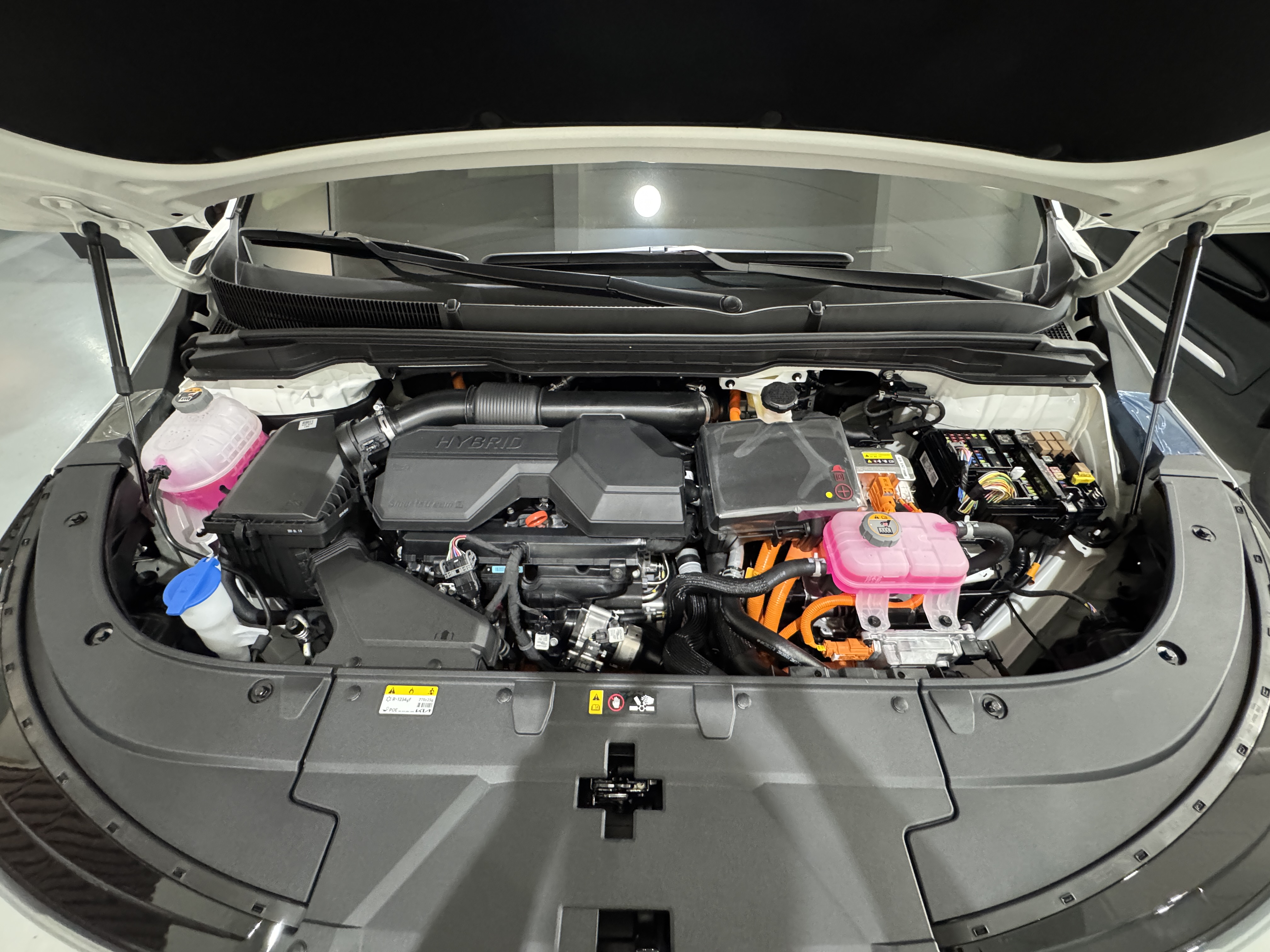 8429dd07db564.jpg