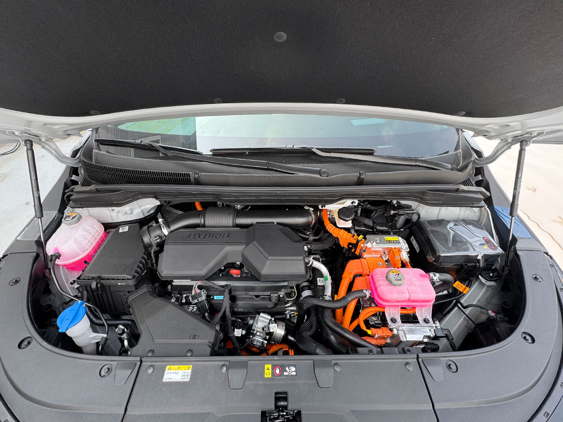 89d296e3cb174.jpg