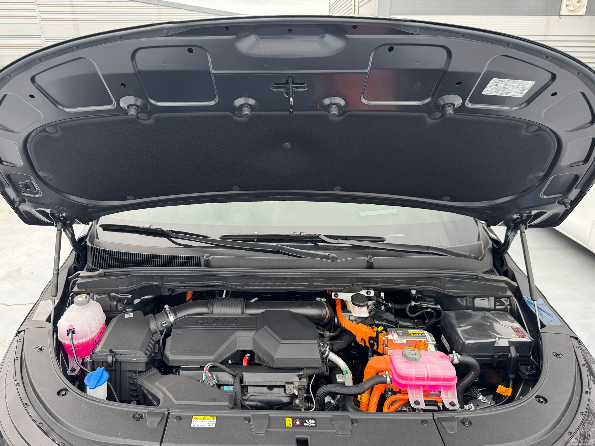 f79534a2dc597.jpg