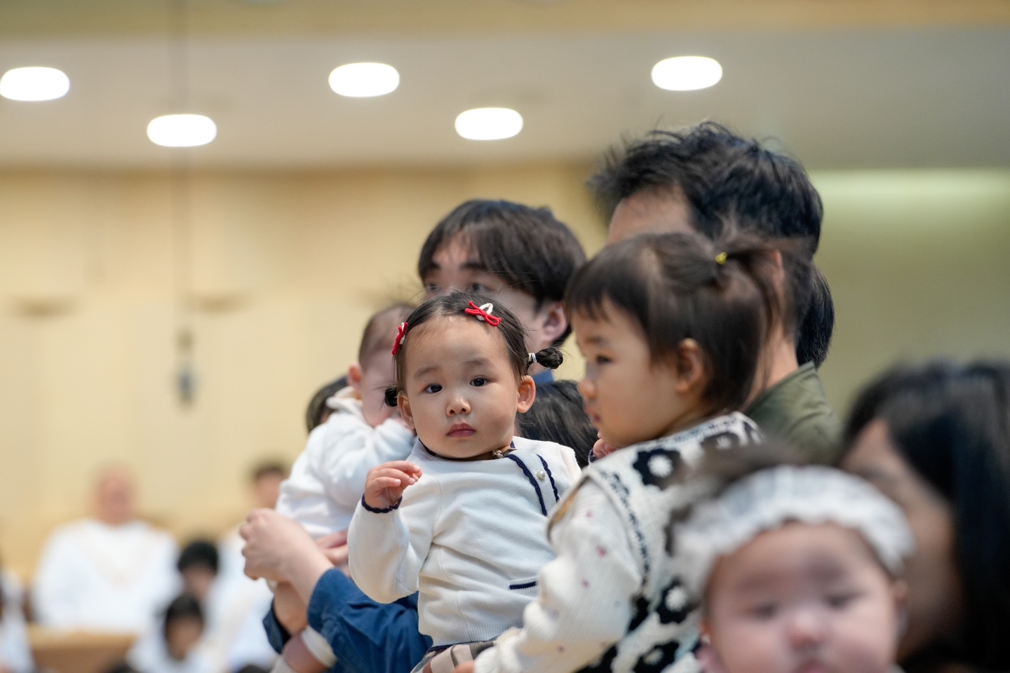 cdafb310d1d21.jpg