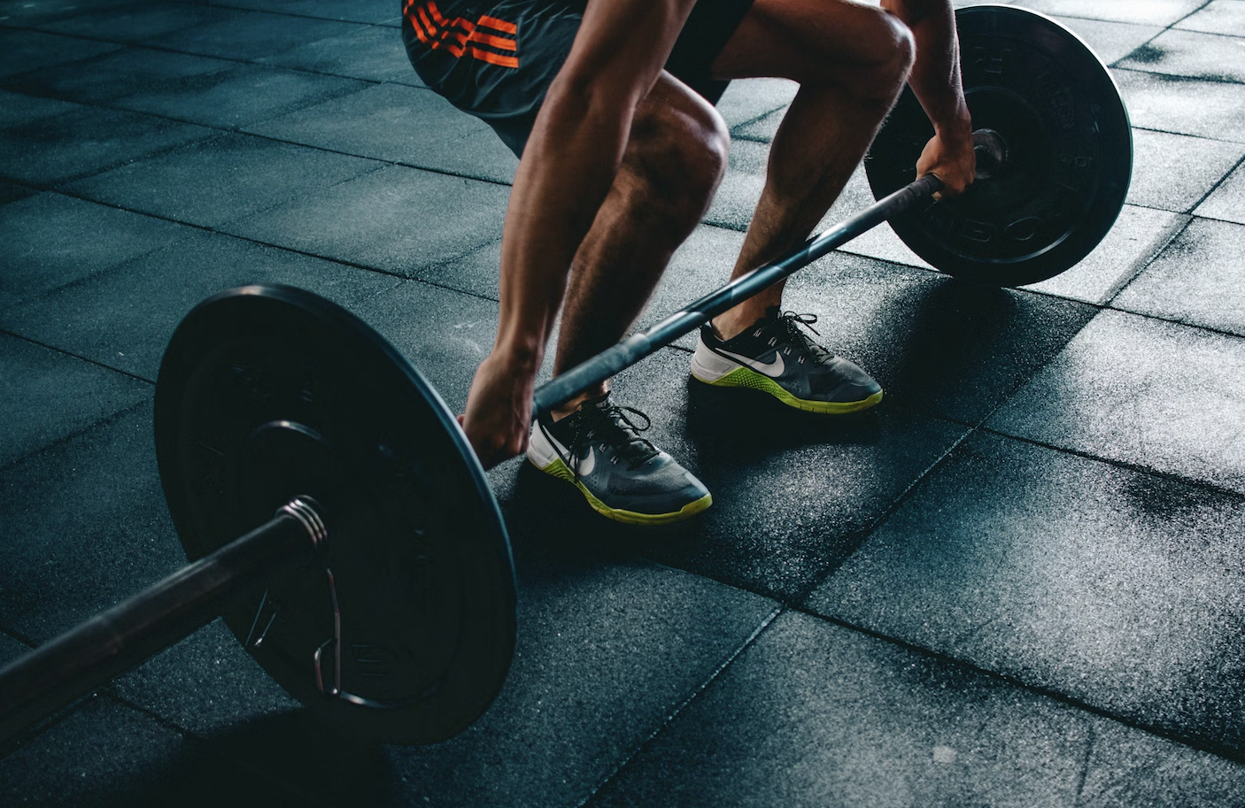 l carnitine 효능 지방 연소 엘카르니틴 간편 복용법! 엘카르티닌 효능 부작용