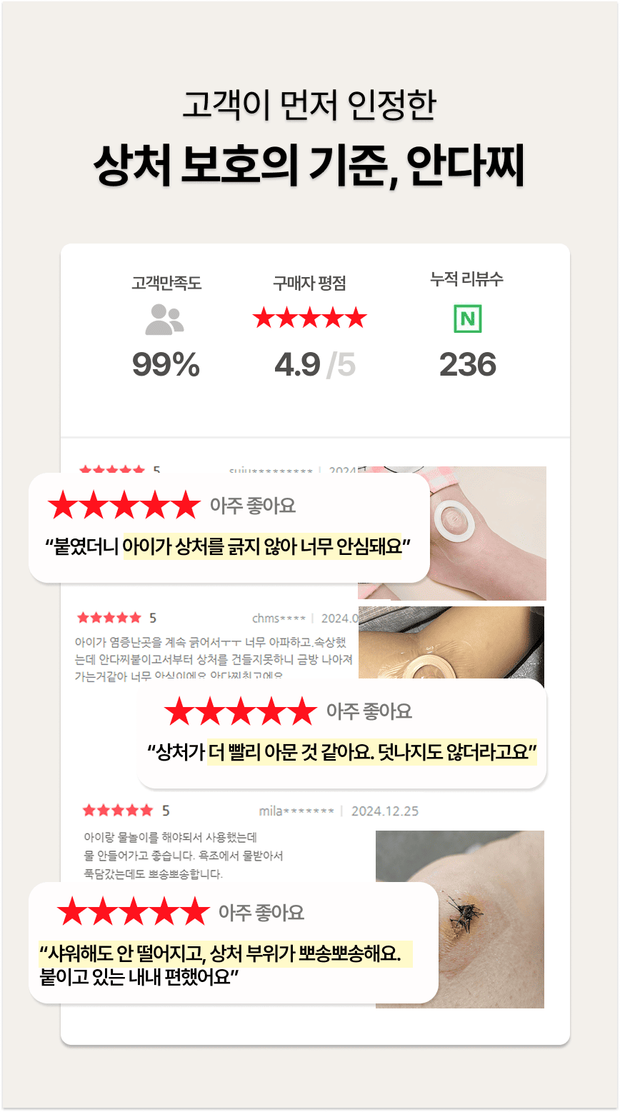 안다찌 사용자 후기 요약 평점 4.9, 리뷰 236건