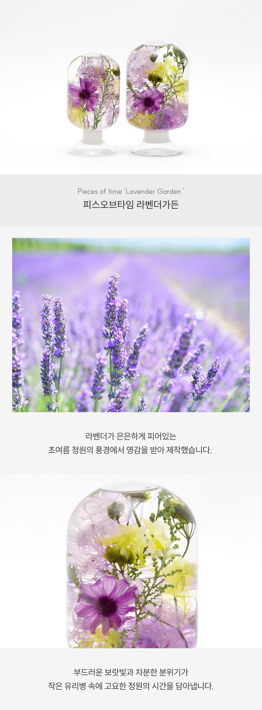 라벤더 가든 Lavender Garden