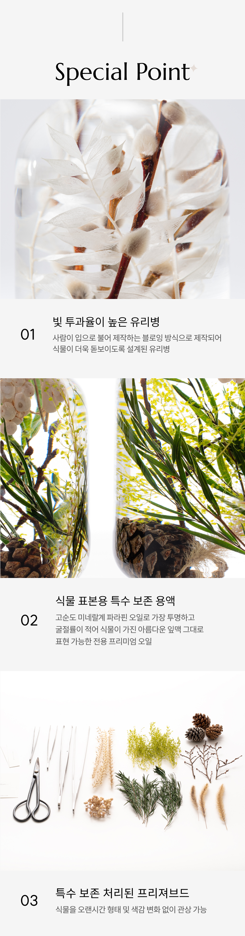 라벤더 가든 Lavender Garden
