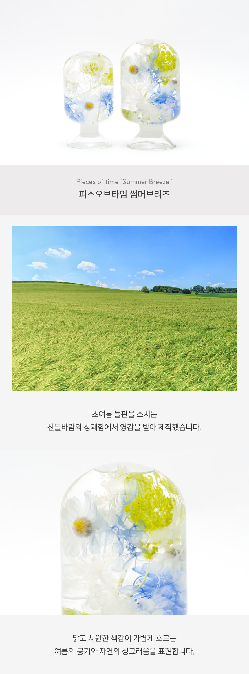썸머 브리즈 Summer Breeze