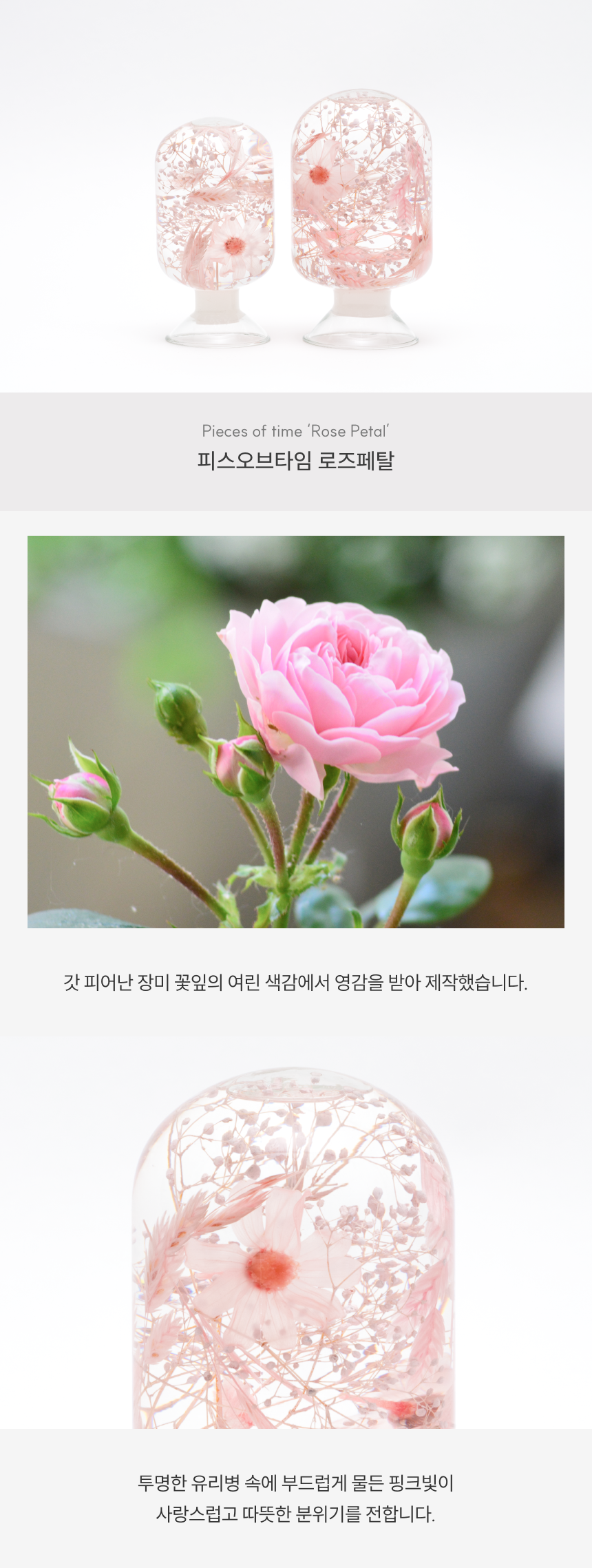 로즈 페탈 Rose Petal