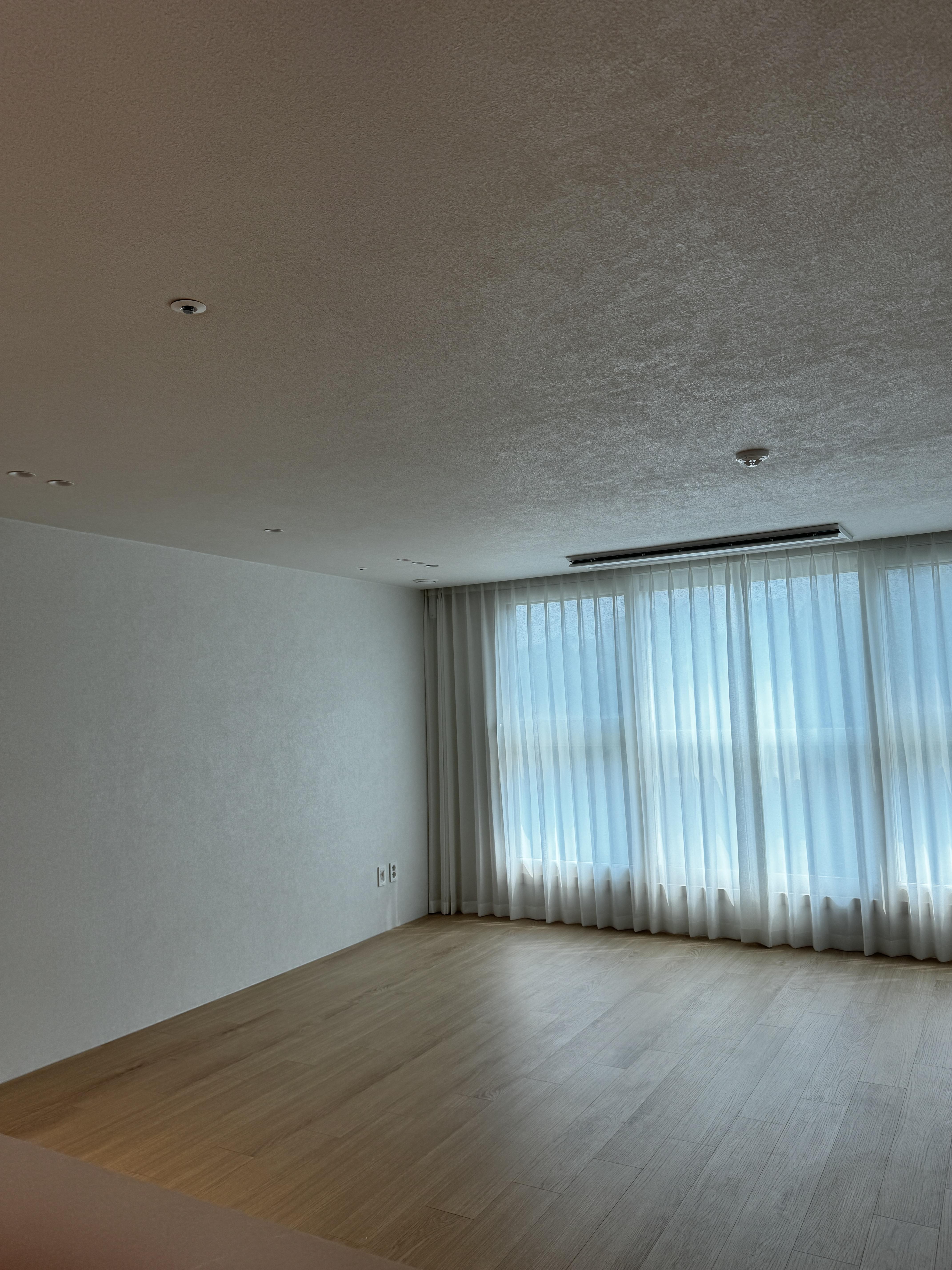f12c5d81a2c65.jpg