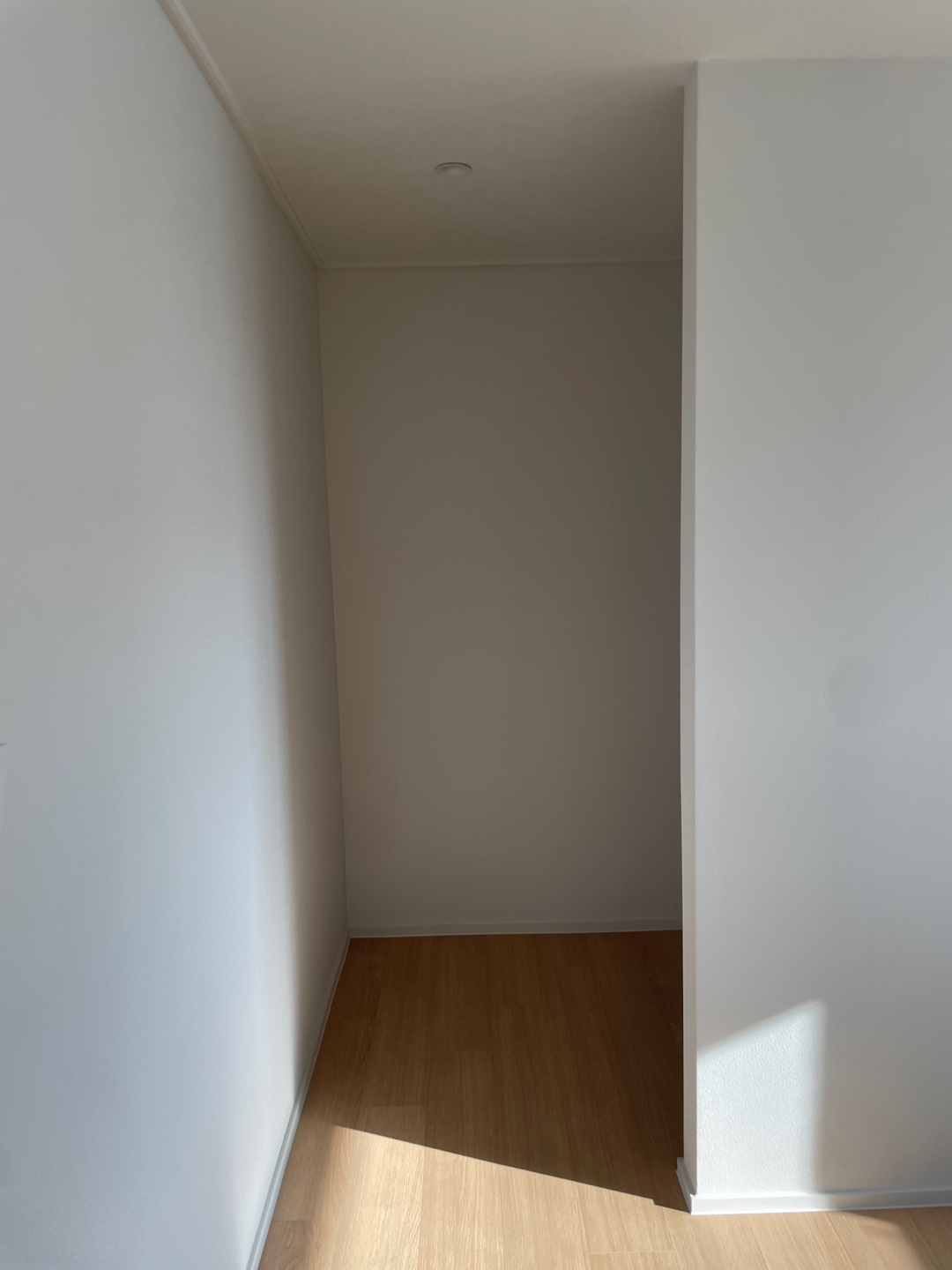 f4c51a69b7d83.jpg