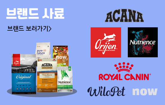강아지사료 브랜드