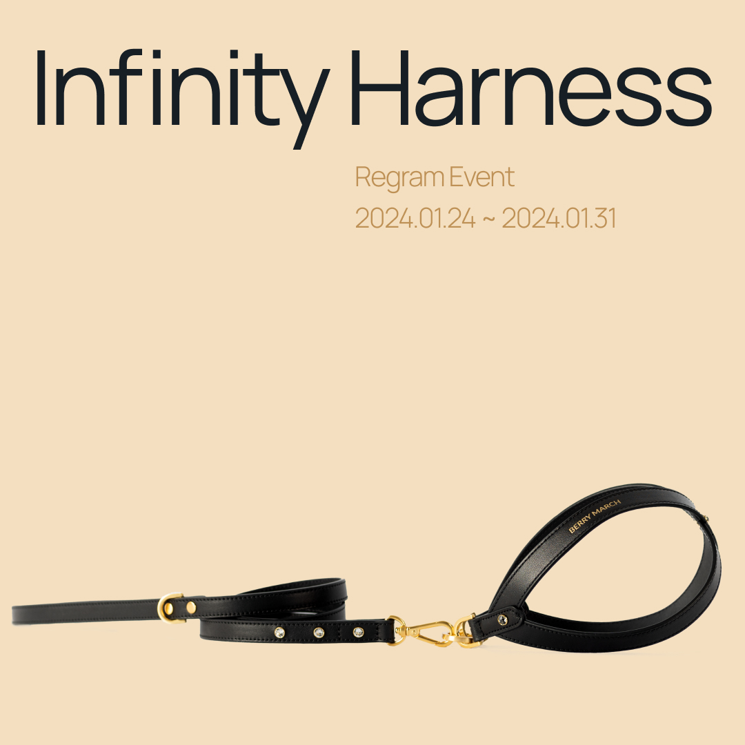 [이벤트 종료] INFINITY HARNESS 서포터즈 모집 : 베리마치 이벤트 페이지