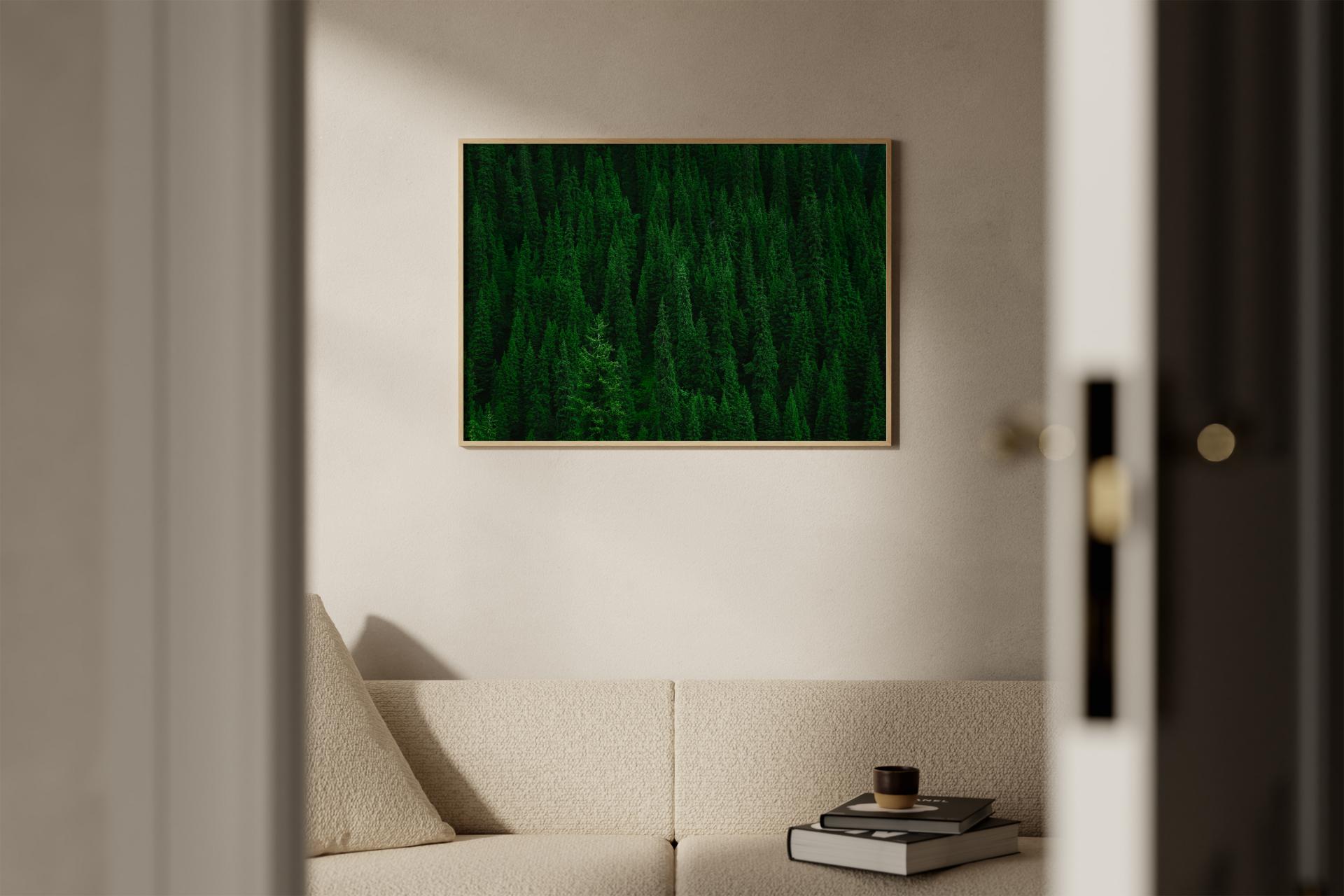 Deep Breathing Forest