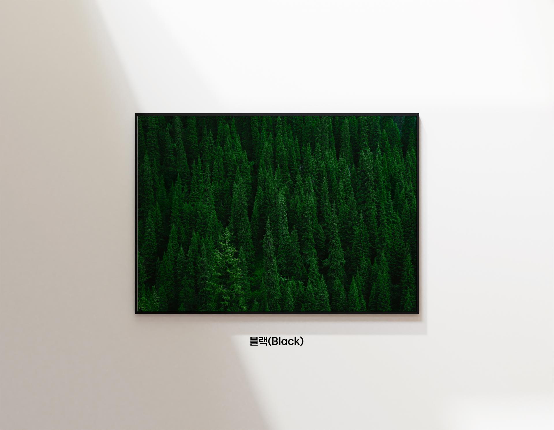 Deep Breathing Forest