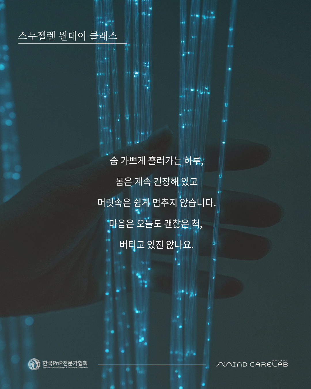 19dec77c810c9.png